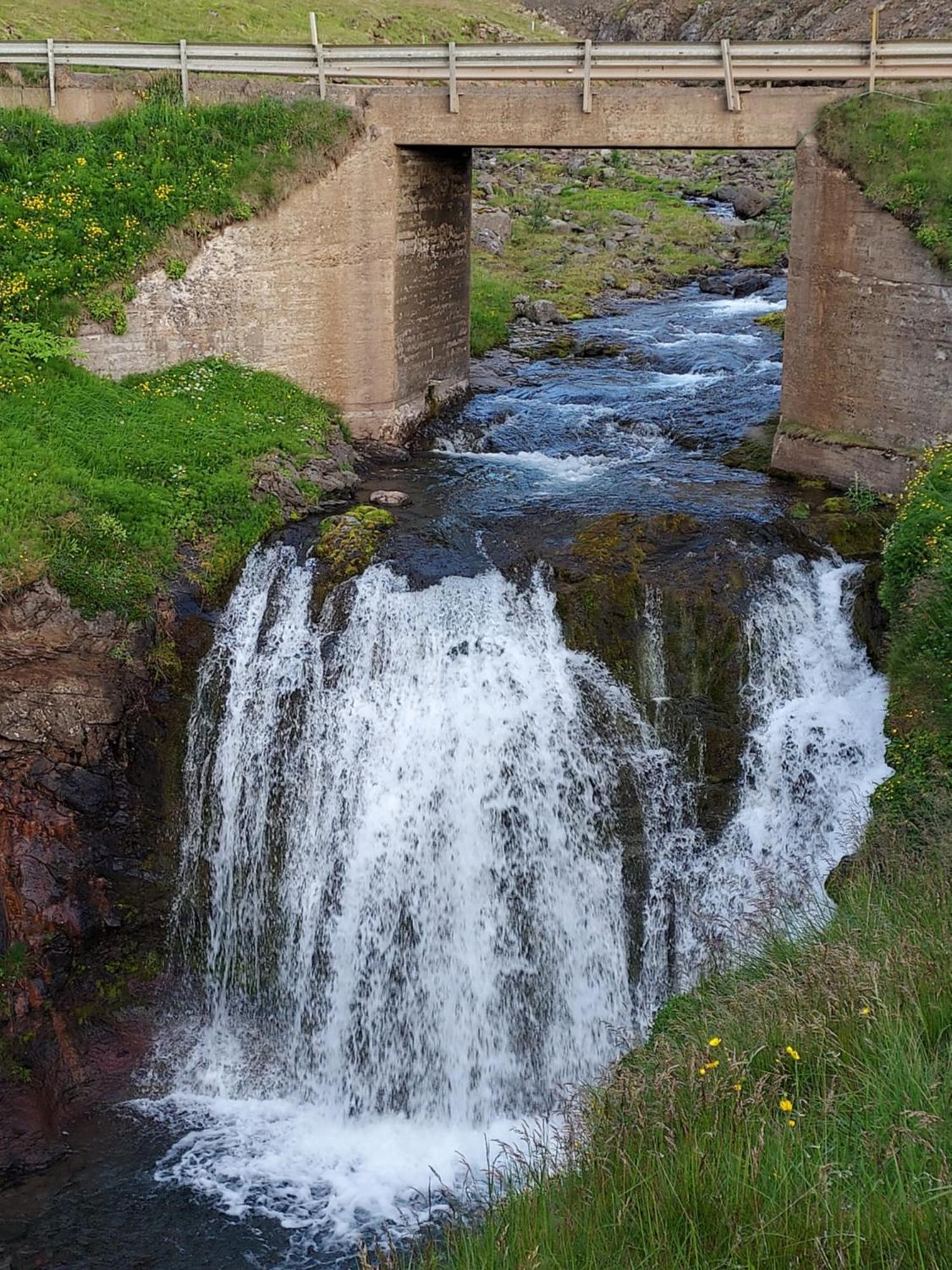 Guesthouse Nýp Dış mekan fotoğraf