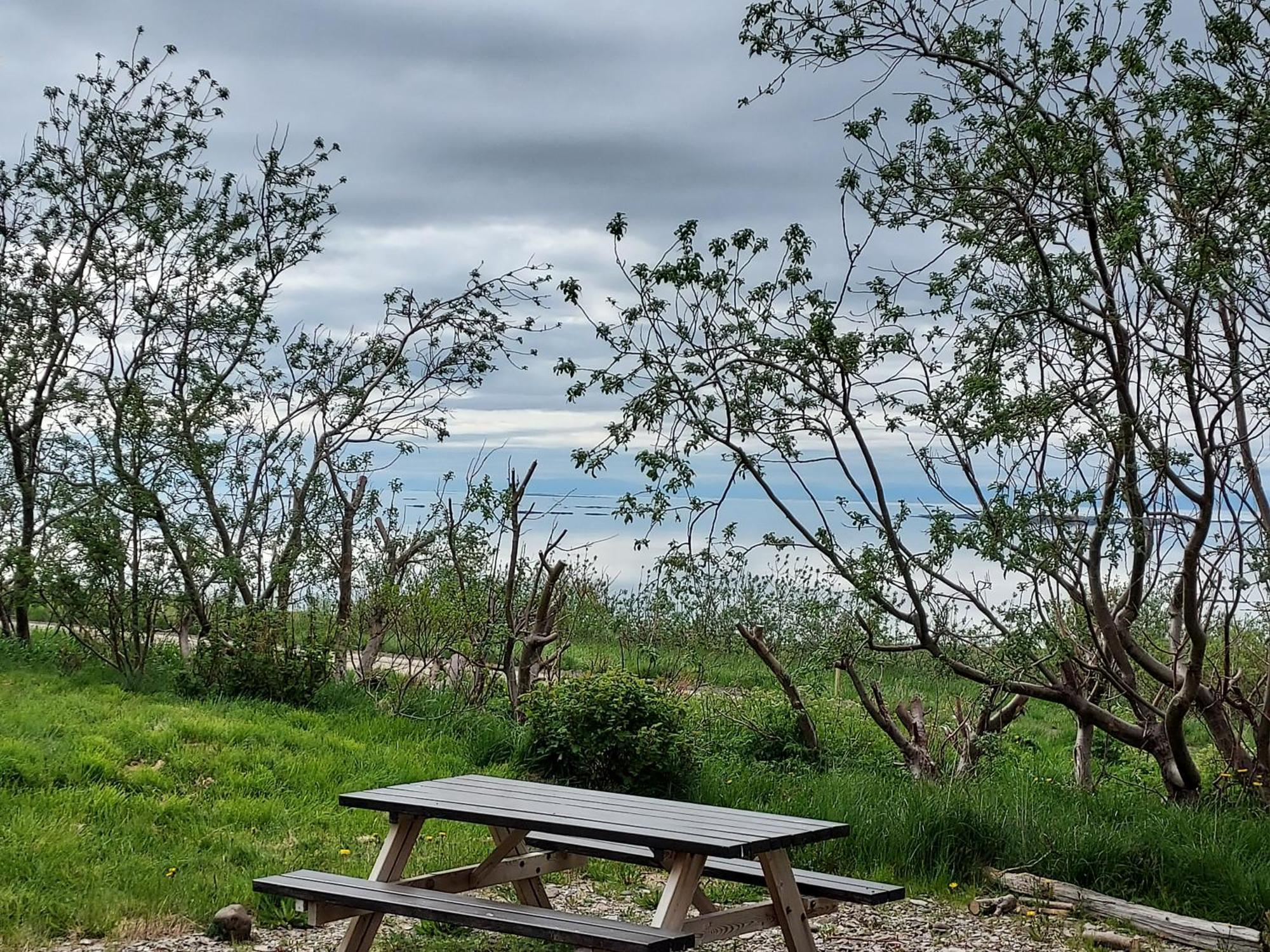 Guesthouse Nýp Dış mekan fotoğraf