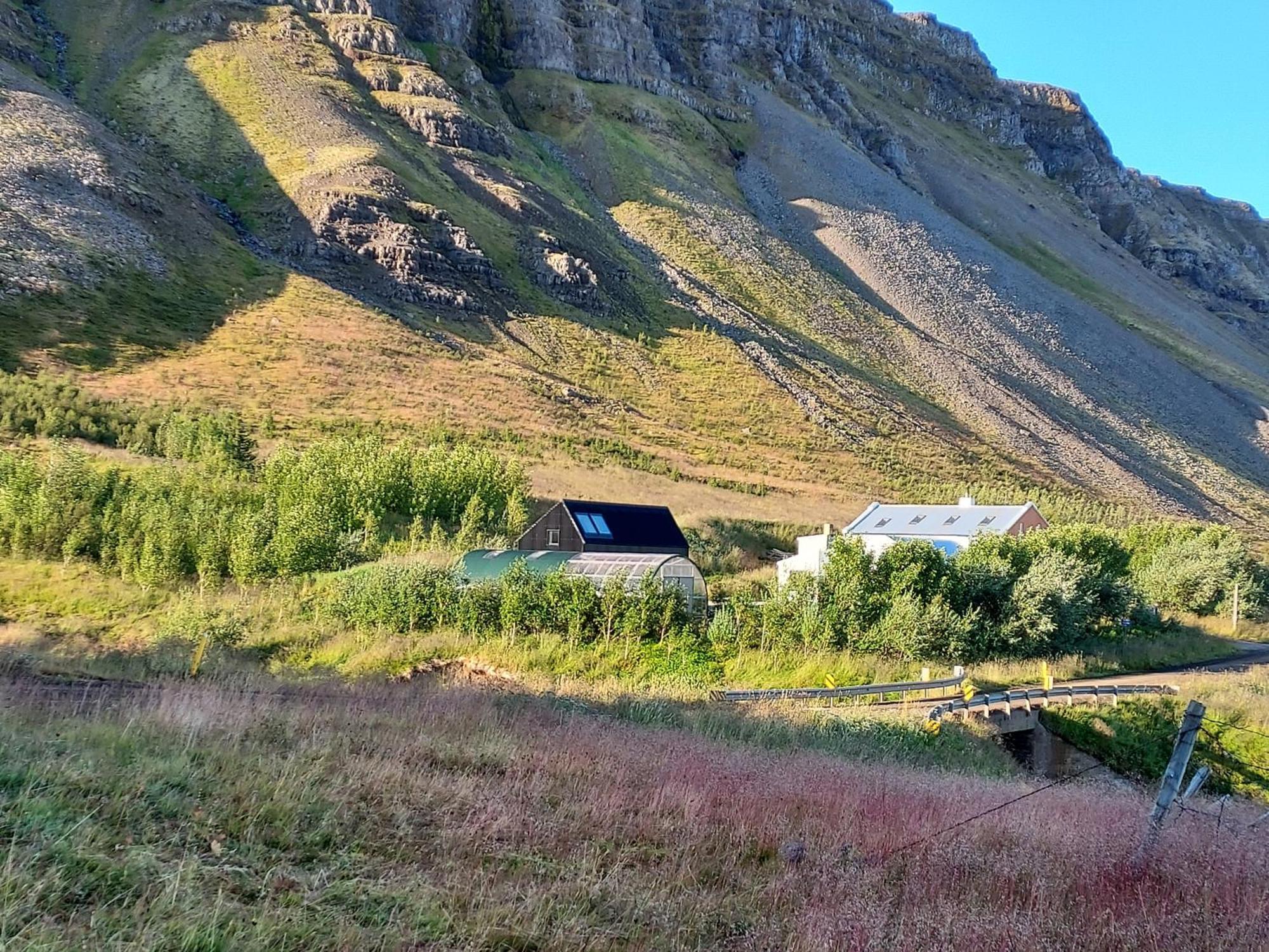 Guesthouse Nýp Dış mekan fotoğraf